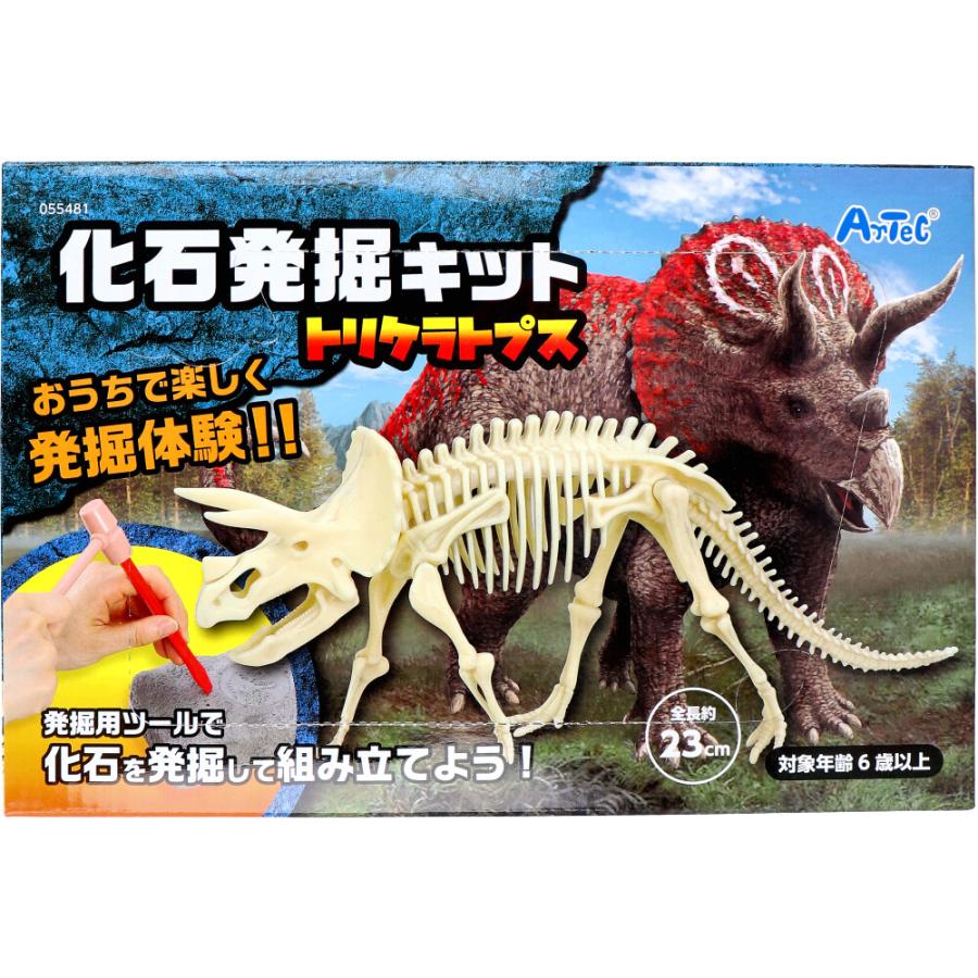 化石発掘キット トリケラトプス 1セット : シャイニングストアEXPRESS