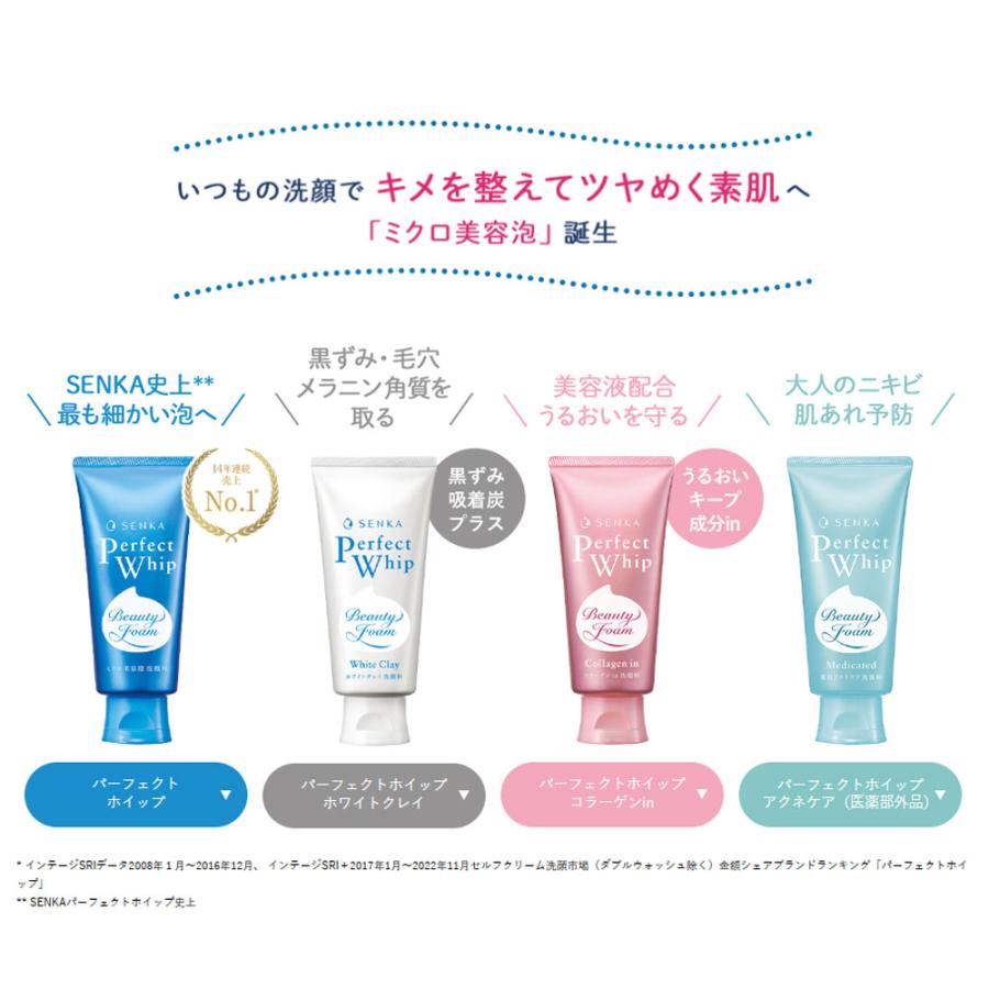 洗顔専科 パーフェクトホイップ 薬用 アクネケア 120g × 48点 洗顔専科 パーフェクトホイップ 薬用 アクネケア 120g × 48点