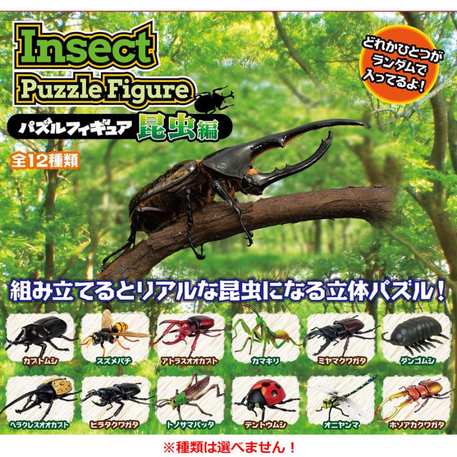 パズルフィギュア 昆虫編 1個入 : シャイニングストアEXPRESS - 通販