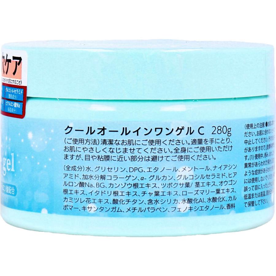 クールオールインワンゲル 280g : シャイニングストアEXPRESS - 通販