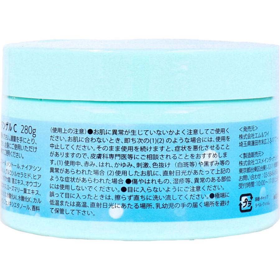 クールオールインワンゲル 280g : シャイニングストアEXPRESS - 通販