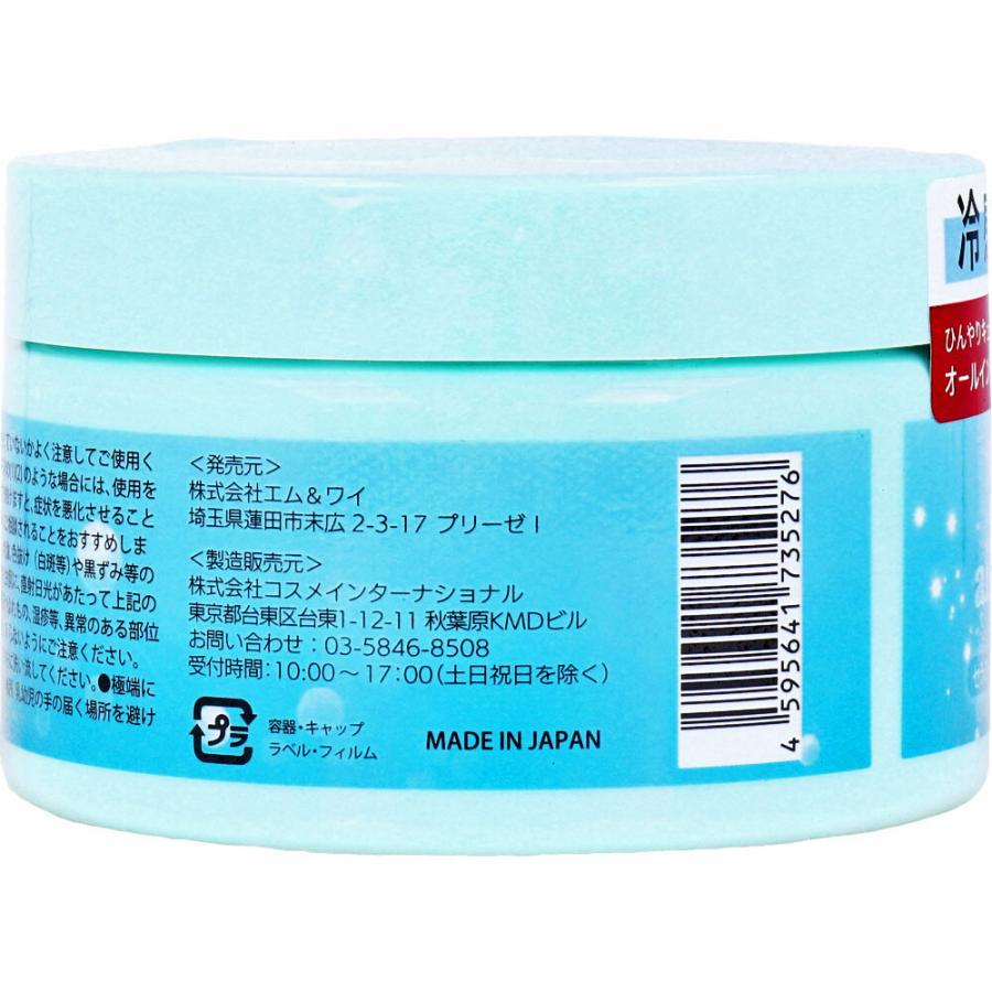 クールオールインワンゲル 280g : シャイニングストアEXPRESS - 通販