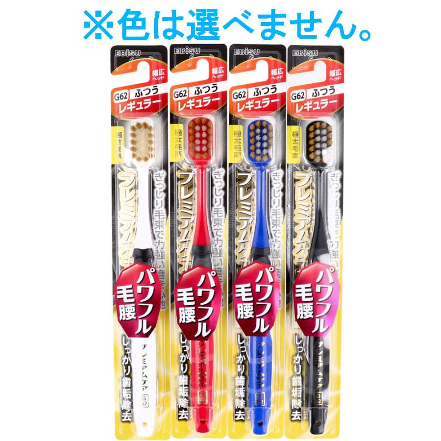 プレミアムケアハブラシ パワフル毛腰 レギュラー ふつう 1本入