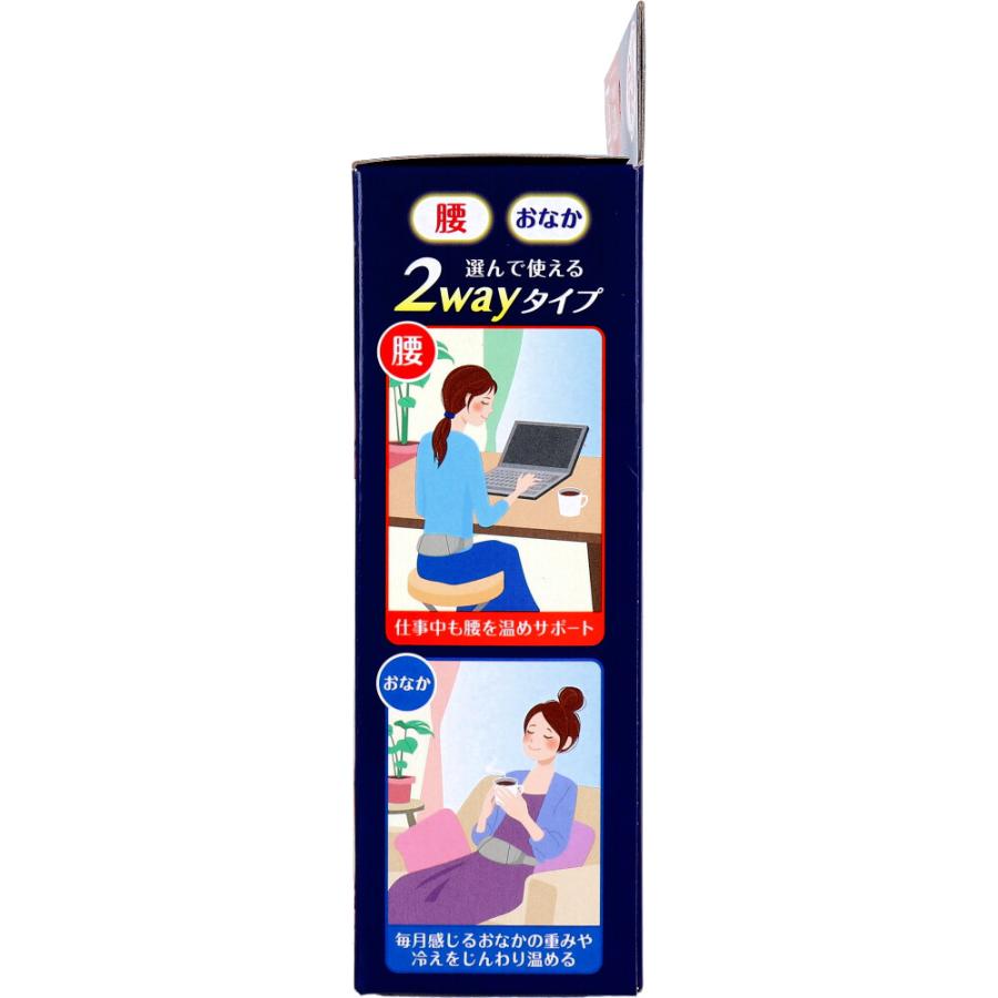 リラックスゆたぽん 腰・おなか 2wayホット ほぐれる温蒸気 グレージュ