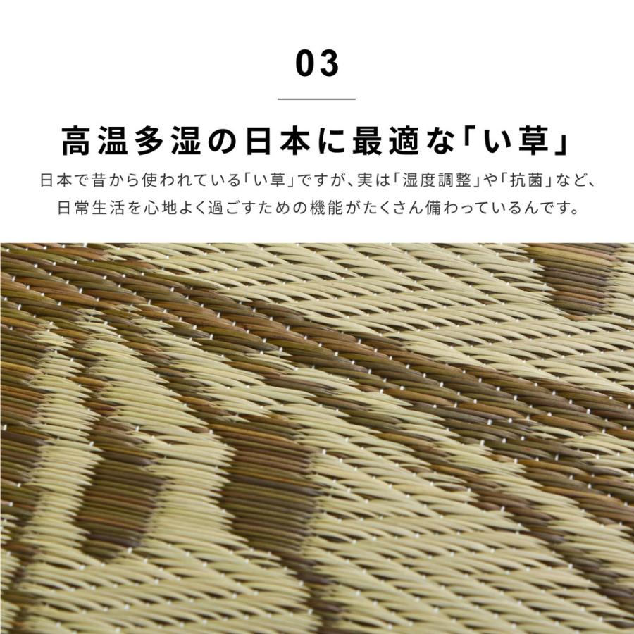 い草ラグ フェアリー 230×330cm