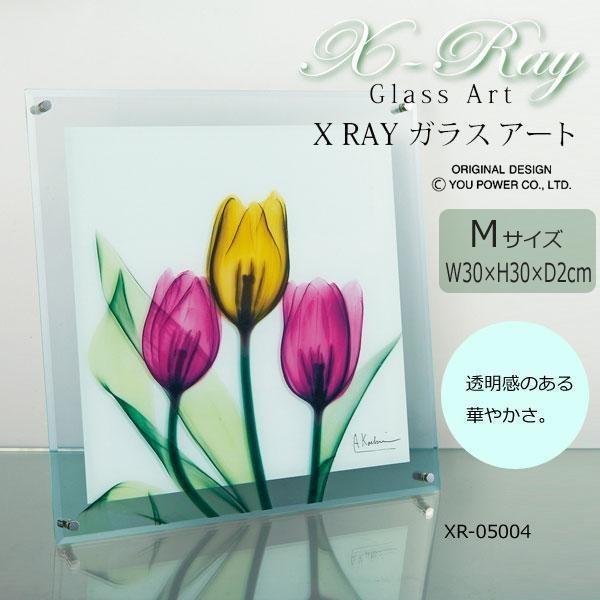 X RAY ガラス アート チューリップ Mサイズ XR-05004｜shiningstore-life｜02