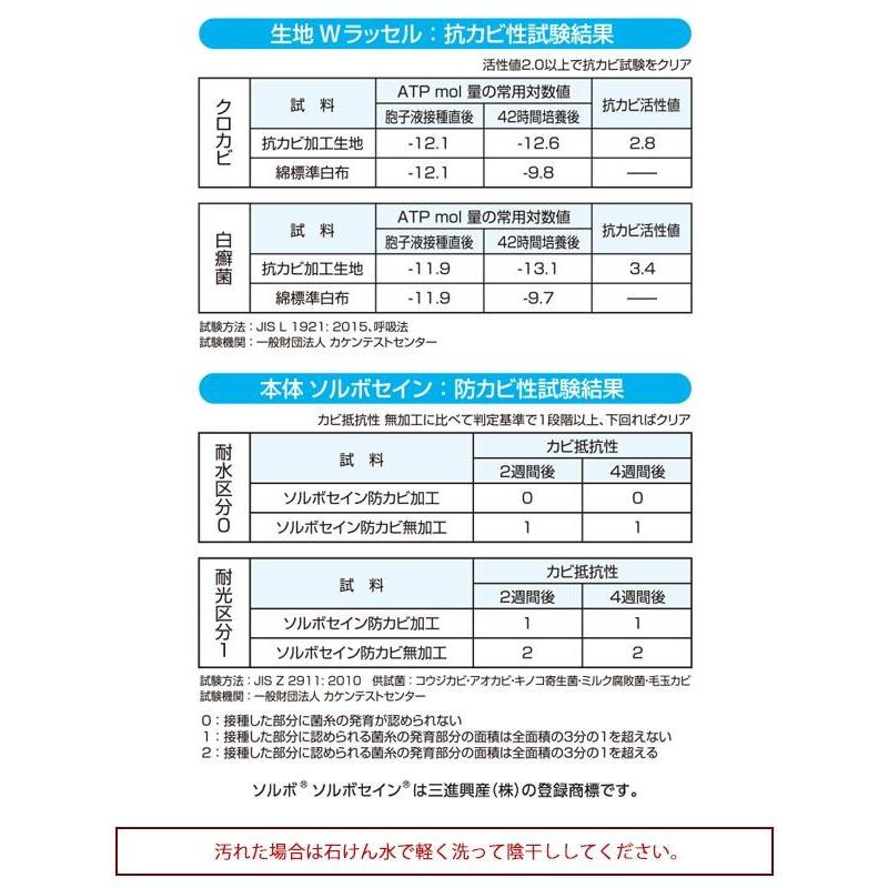 DSISソルボヘルシー 抗カビ+ ベージュ 日本製 3S(22.0〜22.5cm)・61746｜shiningstore-life｜04