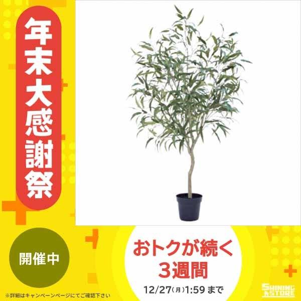 予約販売品 観葉植物 レモンユーカリポット グリーン 1本セット P49 フェイクグリーン インテリア 花 観葉植物 Ab シャイニングストア生活館 通販 Yahoo ショッピング 海外最新 Www Iccostierovico Edu It