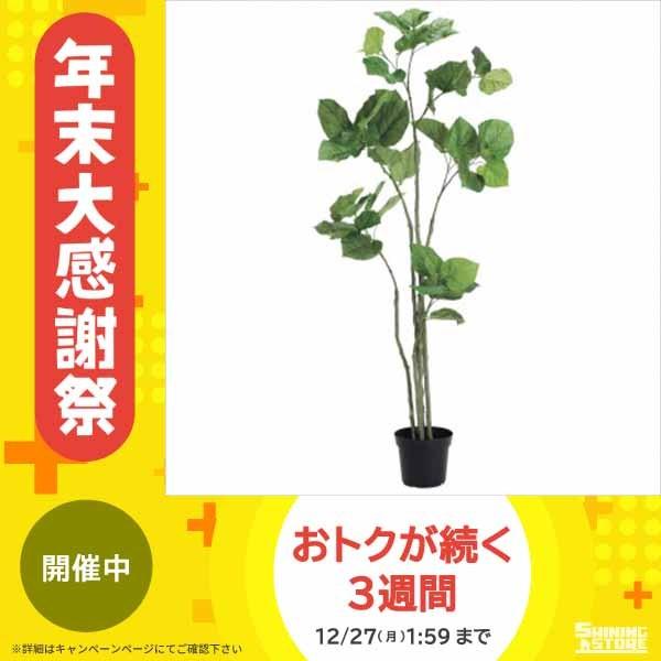 格安即決 観葉物 ウンベラータ グリーン 1本セット P45 アレンジメント 花 観葉植物 希少 Www Maxipiso Com Ar