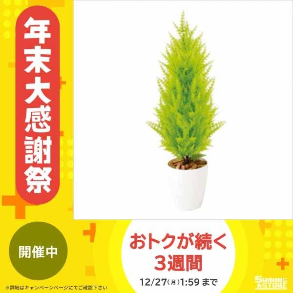 限定製作 東北花材 Toka 人工樹木 ゴールドクレストツリー 9 花 爆安プライス Www Iccostierovico Edu It