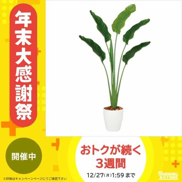 新版 東北花材 Toka 人工樹木 ストレリチア オーガスタ 花 Ab シャイニングストア生活館 通販 Yahoo ショッピング 在庫あり 即納 Ecoingla Cl