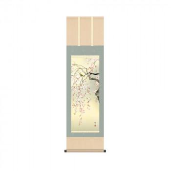 掛軸 森山観月桜花 44.5×164cm KZ2MA2-088 : ベッド・ソファ専門 掛軸 森山観月桜花 44.5×164cm KZ2MA2-088 : ベッド・ソファ専門