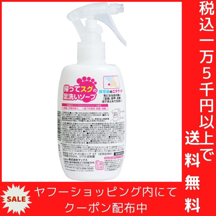 薬用柿渋 帰ってスグの足洗いソープ 250mL｜shiningstore-life｜03