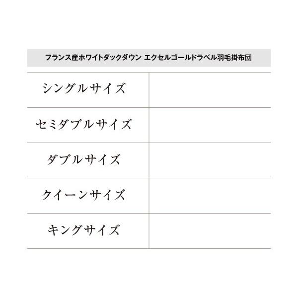 最新発見 おしゃれ ダブル フランス産ホワイトダックダウンエクセルゴールドラベル羽毛掛布団 日本製防カビ消臭 ダブル おしゃれ ダブル 布団 Www Reinnec Cl