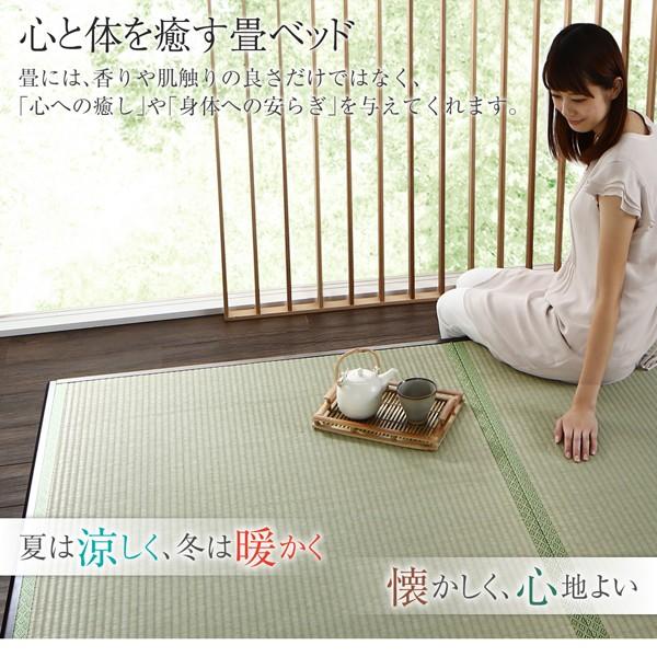 【最終値下げ】 ベッドフレーム 畳ベッド セミダブル くつろぎの和空間をつくる日本製大容量収納ガス圧式跳ね上げ畳ベッド 中国産畳 セミダブル 深さグランド 【EIM1208039419】(43653円)