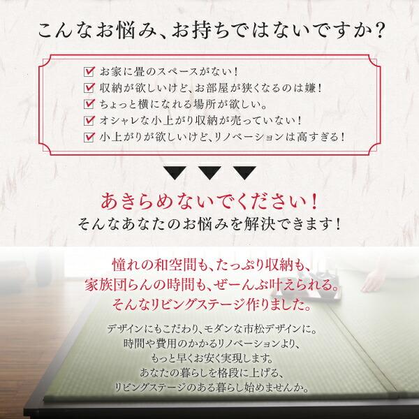 リビング収納 チェスト キャビネット タンス テレビ台 日本製 収納付きデザイン畳リビングステージ 畳ボックス収納 180×180cm ロータイプの画像