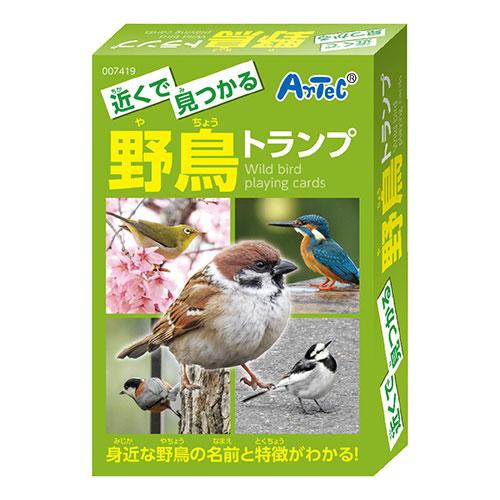 ARTEC 近くで見つかる野鳥トランプ ATC7419｜shiningstore-next｜02