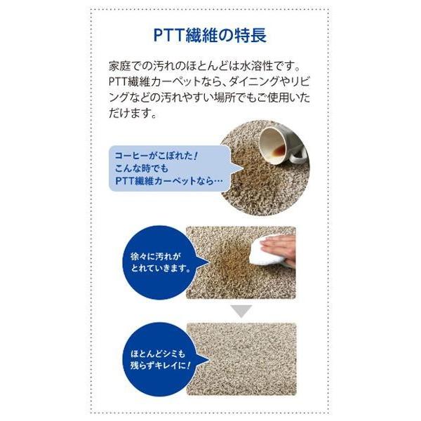 アスワン PTT繊維カーペット アルテア 190×240cm GN・グリーン アスワン PTT繊維カーペット アルテア 190×240cm GN・グリーン