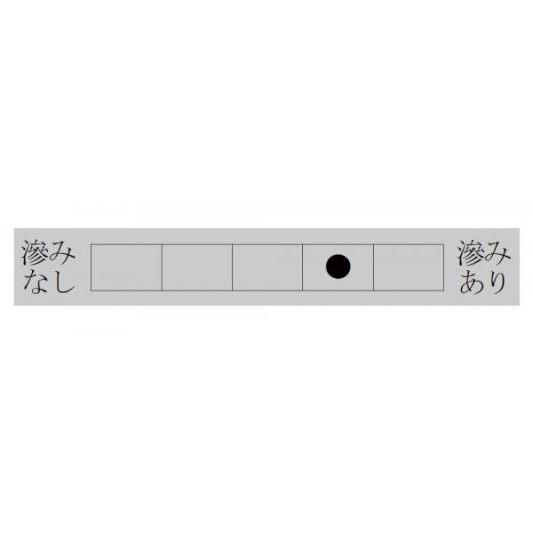 漢字用半紙 100枚 ポリ入り 黄龍 AA831-1｜shiningstore-next｜03