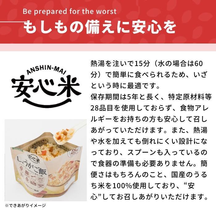 アルファー食品 安心米 しょうがご飯(玄米入り) 100g 50袋セット 11421662｜shiningstore-next｜02