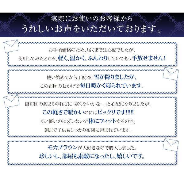 21最新のスタイル おしゃれ シングル 1人暮らし ワンルーム 日本製防カビ消臭 フランス産ホワイトダックダウンエクセルゴールドラベル羽毛掛布団 シングル 掛け布団 カラー サイレントブラック Www Auschule S Schule Bw De