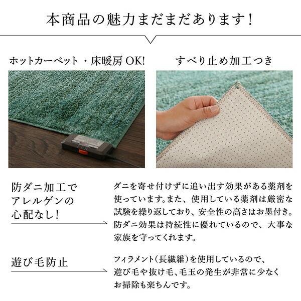 ラグ グラデーションミックスシャギーラグ 200×300cm_14