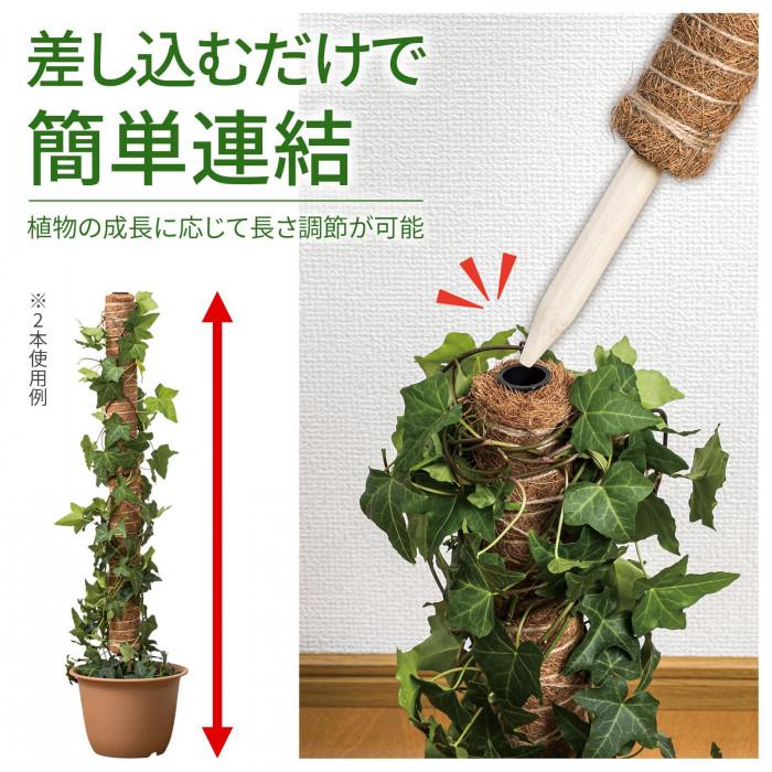 観葉植物の支柱 2本組 : シャイニングストア - 通販 - Yahoo!ショッピング