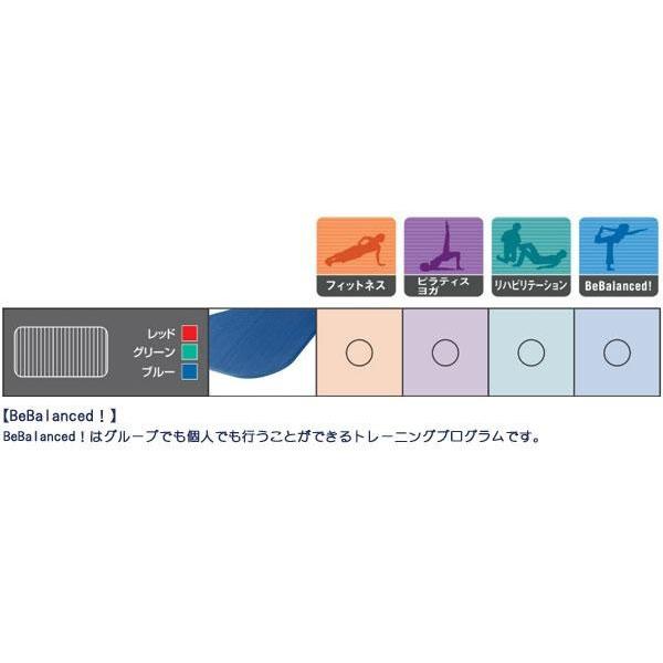 AIREX(R) エアレックス マット トレーニングマット(波形パターン