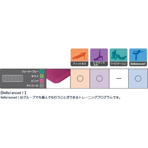 AIREX(R) エアレックス マット フィットネスマット(波形パターン