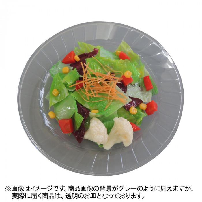 日本職人が作る 食品サンプル サラダ IP-543