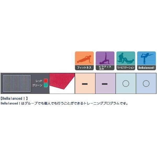 AIREX(R) エアレックス マット リハビリ・トレーニングマット AIREX(R) エアレックス マット リハビリ・トレーニングマット
