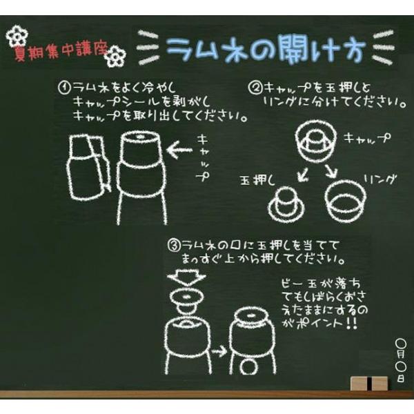 齋藤飲料工業 瀬戸内なしラムネ 広島県産梨果汁1％使用 200ml瓶×30本｜shiningstore｜03