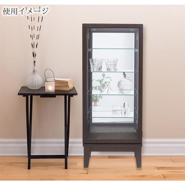 カルトーネスカーラ1000 ガラスケース