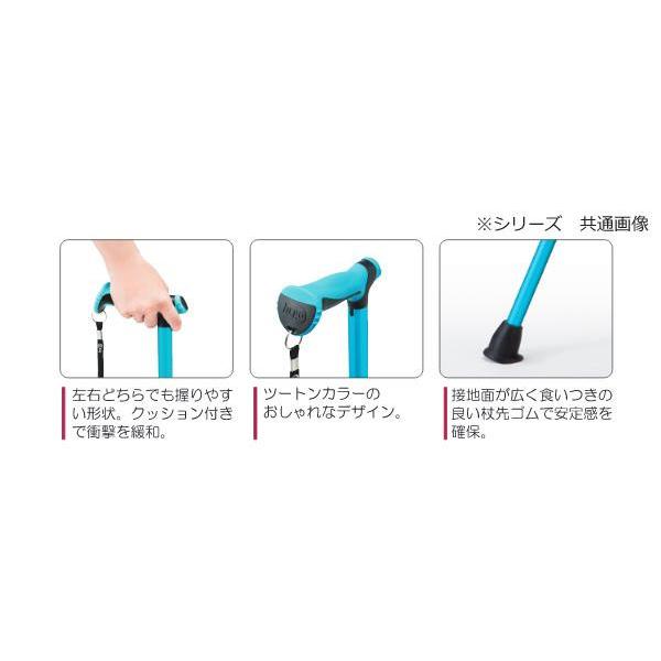 竹虎 杖 ヒューゴステッキ グレー 104754 : シャイニングストア - 通販