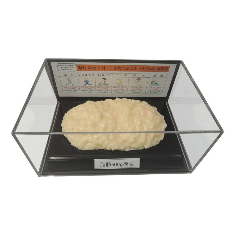 脂肪模型フィギュアケース入 500g IP-977_1