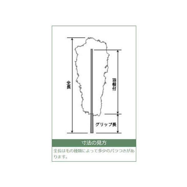 石塚羽毛 日本製 オーストリッチ毛ばたき 910mm D50 : シャイニング