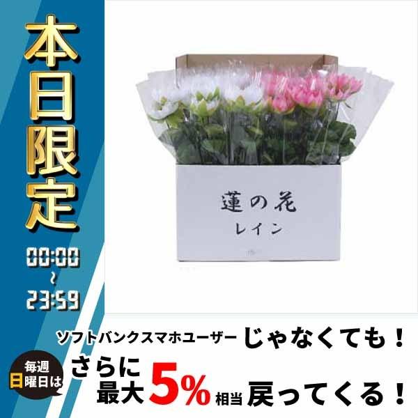 大流行中 枯れることなくお手入れ不要 ニューホンコン造花 造花 花 新蓮の花レイン ラップ入 展示箱付 本入 造花 アートフラワー Icmcmasjid Org