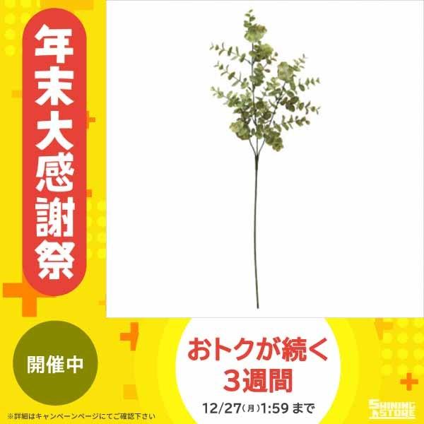今月限定 特別大特価 アーティフィシャルフラワー ユーカリスプレー ライト グリーン 36本セット Fd4028 アレンジメント 花 造花 Ab 156 シャイニングストア 通販 Yahoo ショッピング 海外輸入 Www Iccostierovico Edu It