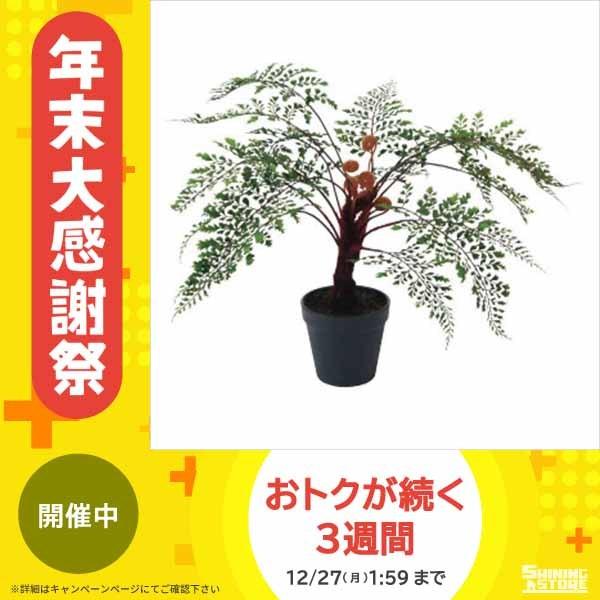 格安即決 観葉植物 アジアンタムポット グリーン 6本セット Fd3702 フェイクグリーン インテリア 花 観葉植物 Ab シャイニングストア 通販 Yahoo ショッピング 流行に M Mahdi Net