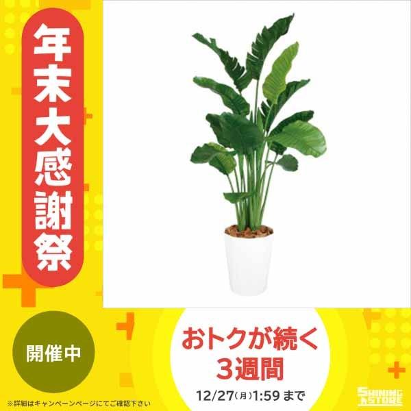 通販正規店 東北花材 Toka 人工樹木 ストレリチア オーガスタ Mix 花 Ab シャイニングストア 通販 Yahoo ショッピング 売れ筋在庫 Foundationbts Com