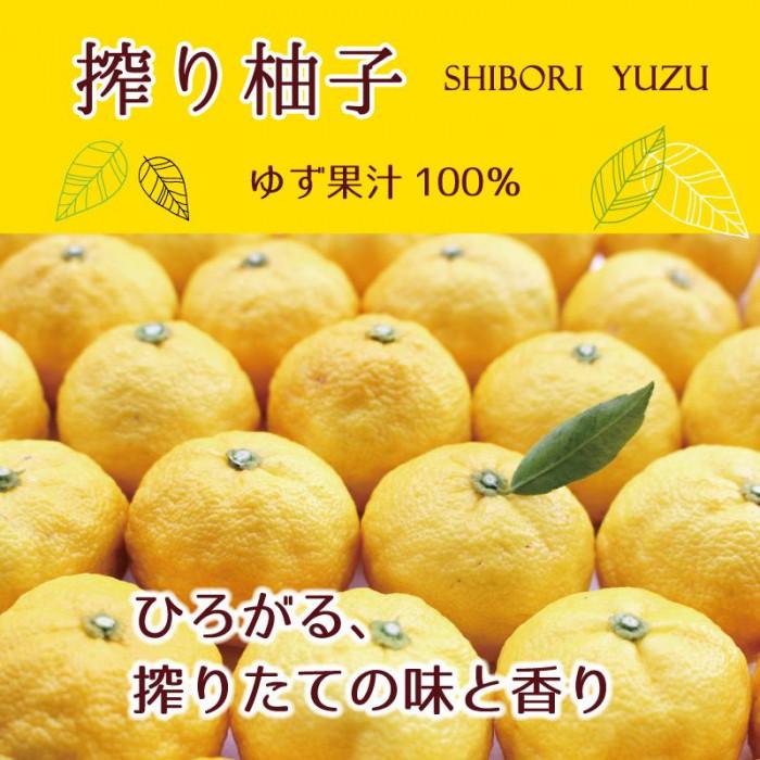 搾り柚子 200ml ×12本セット