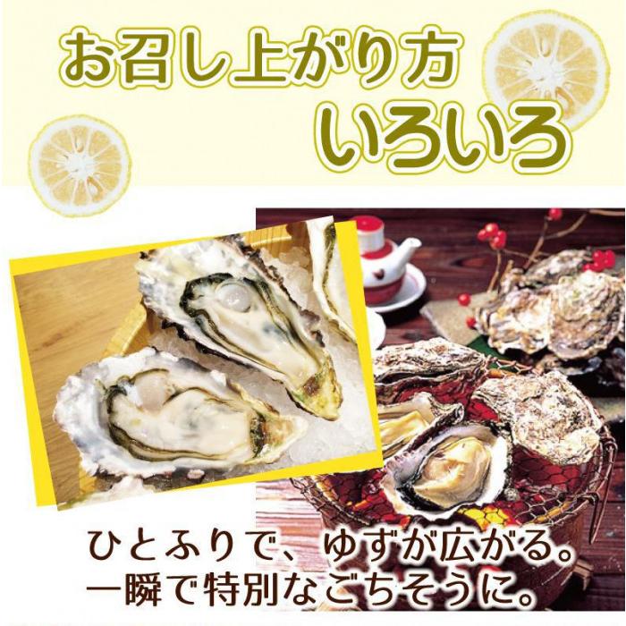 搾り柚子 200ml ×12本セット