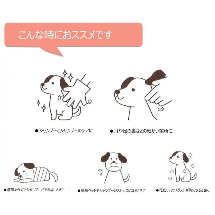 受賞店舗 なでフク グローブ型 犬用拭き取りシート ウェット手袋なでなで10枚入 アロマティックグリーンの香り 48袋セット Ab シャイニングストア 通販 Yahoo ショッピング 公式の Www Jolimmo Ch