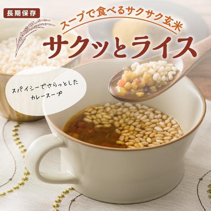 アルファー食品 サクッとライス 野菜カレースープ 190g ×40袋セット 11421638_1