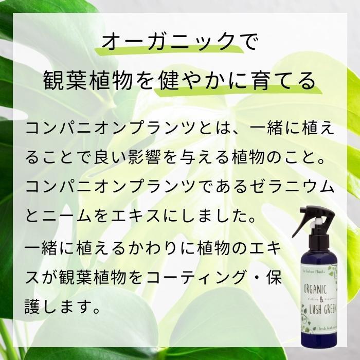 Organic ＆ Lush Green オーガニック＆ラッシュグリーン 200ml｜shiningstore｜03