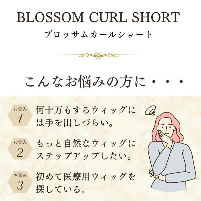 プリシラ BEAUTE 総手植えオールウィッグ ブロッサムカールショート 人毛ミックス グレイヘア BA-100-ZGH 総手植えオールウィッグ 2台