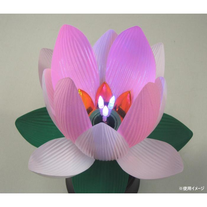 常花蓮華コードレス 2個組 YMG665188の画像