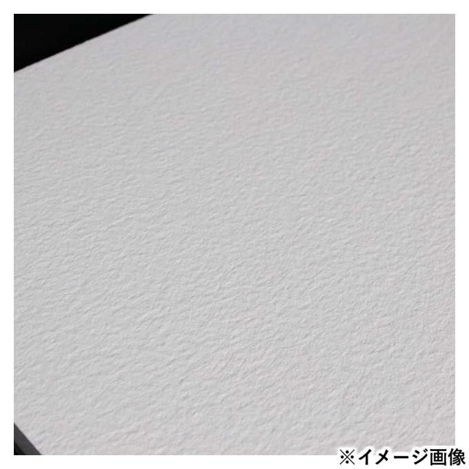 ラングトン プレステージ 荒目ブロック 水彩紙 PBR-20の画像