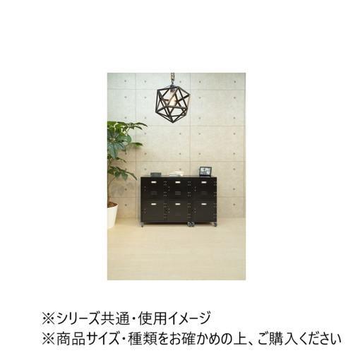 東谷 ラルド チェスト2D ブラック TPN-30BKの画像