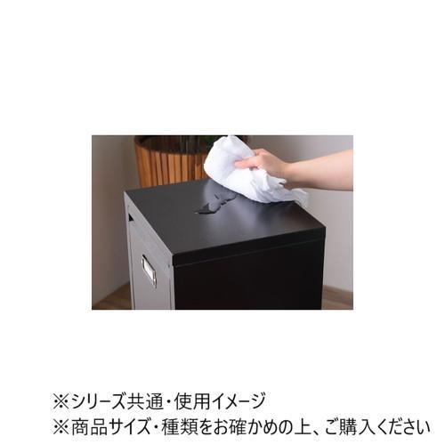 東谷 ラルド ダストボックス ブラック TPN-36BK